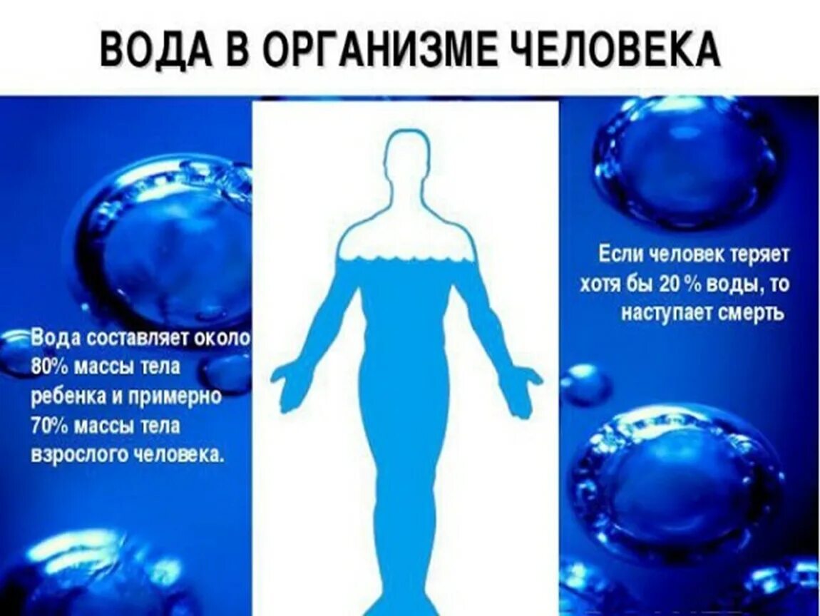 Вода в человеческом организме. Пвода и организм человека. Чем важна вода в организме человека. Пвода и организм человека. Чем важна вода в организме человека.