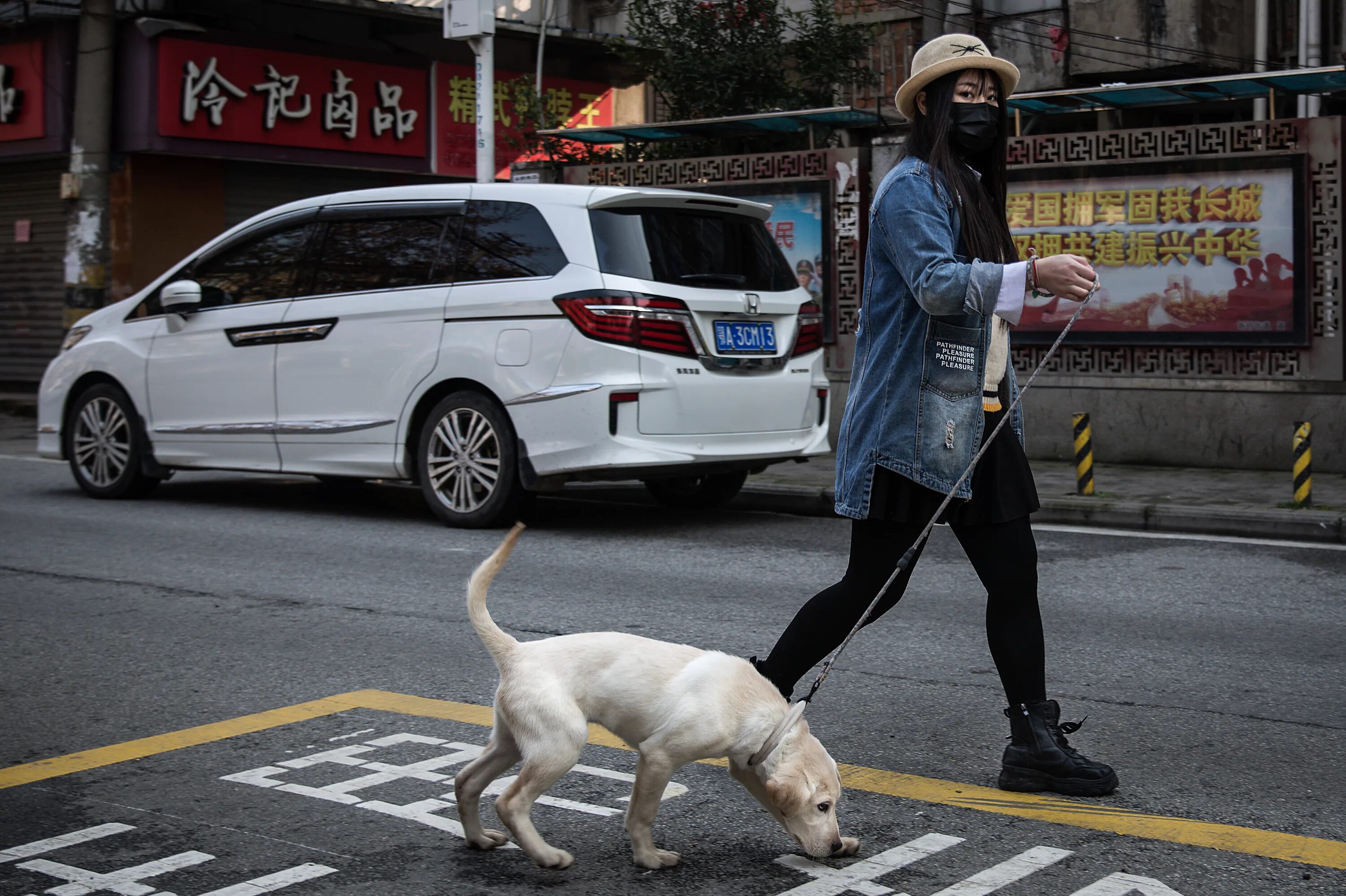 Выгул собак в общественных местах. Популярные собаки в Китае. Крутая собака китаец. Собака в людном месте.