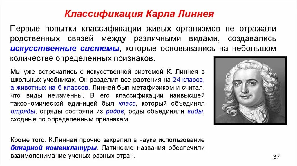 Линней классификация животных. Линней бинарная номенклатура. Классификация растений и животных по Линнею.