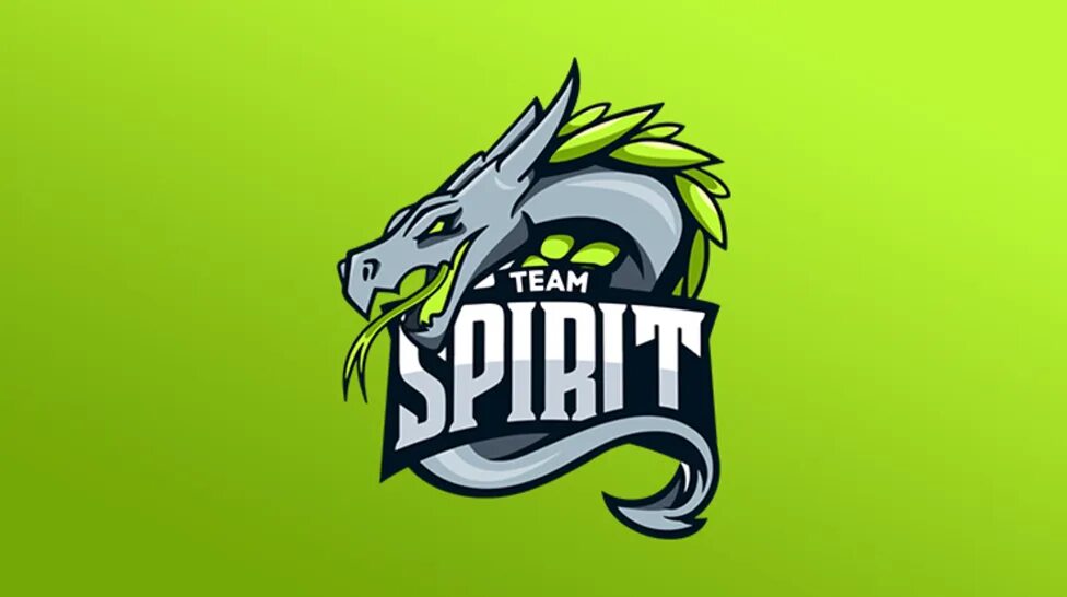 Тим спирит 2022. Тим спирит Dota 2. Тим спирит дота 2021. Команда Team Spirit Dota 2. Team spirit страна