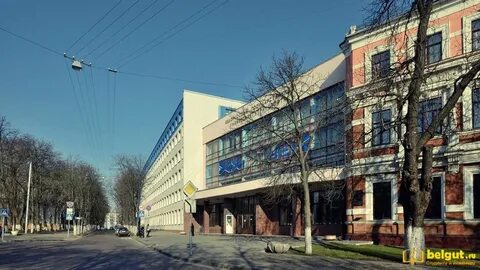 Белгут гомель