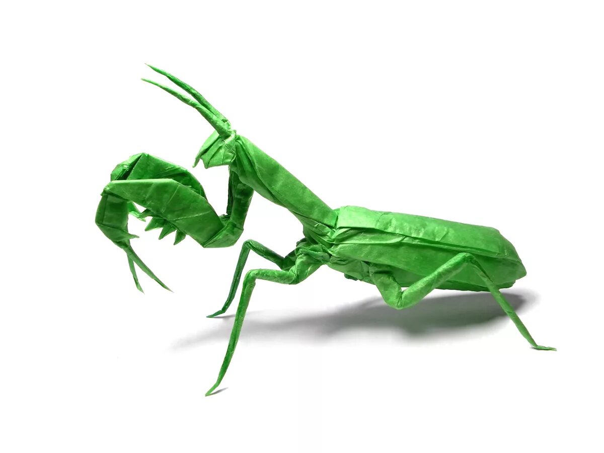 Mantis сатоши Камия. Praying Mantis Satoshi Kamiya. Богомол насекомое. Оригами богомол.
