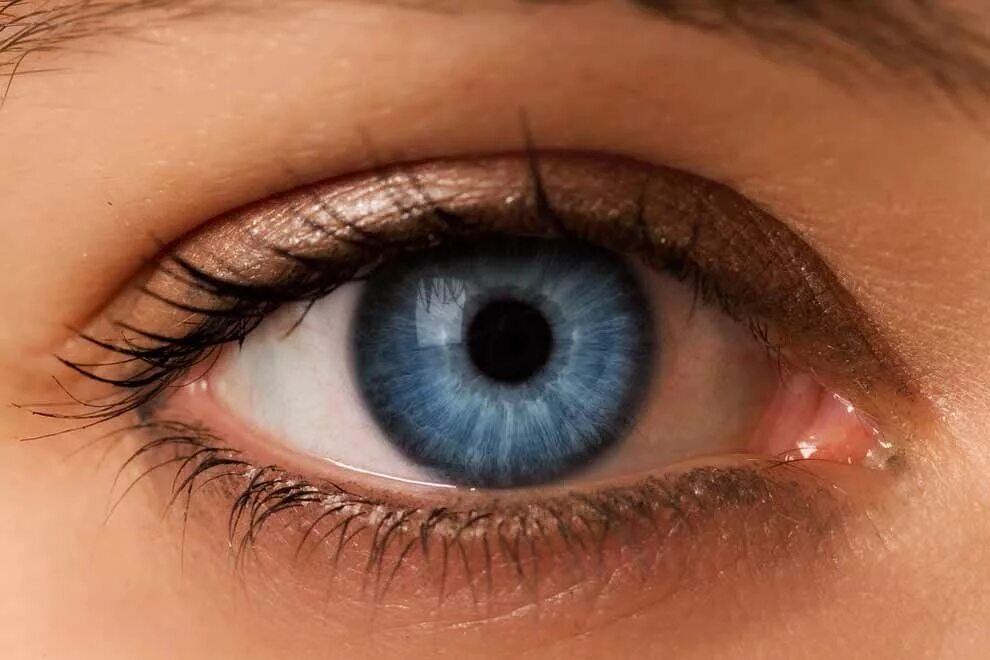 Pin by Iscah McKrae on Art Inspiration Eyes problems, Eye health, Dry eyes cause