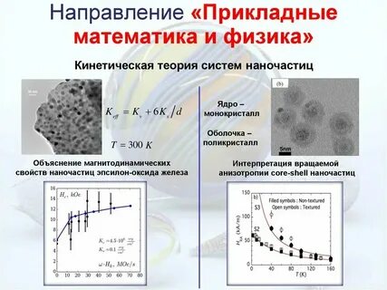 Сколько направлений в математике