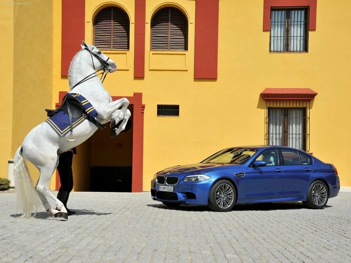 Сколько лошадиных в мерседесе. Лошадиные силы BMW m5 f10. BMW m5 1200 лошадей. Машина с лошадью.