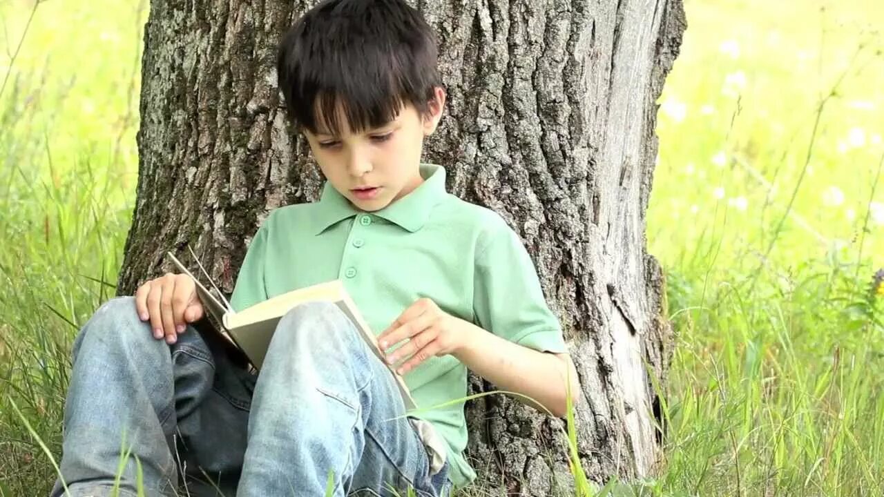 Мальчик читает книгу. Мальчик читает книгу в лесу. Одиночный мальчик. The boy is reading a book. Чтение ис
