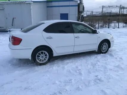 Дром белей
