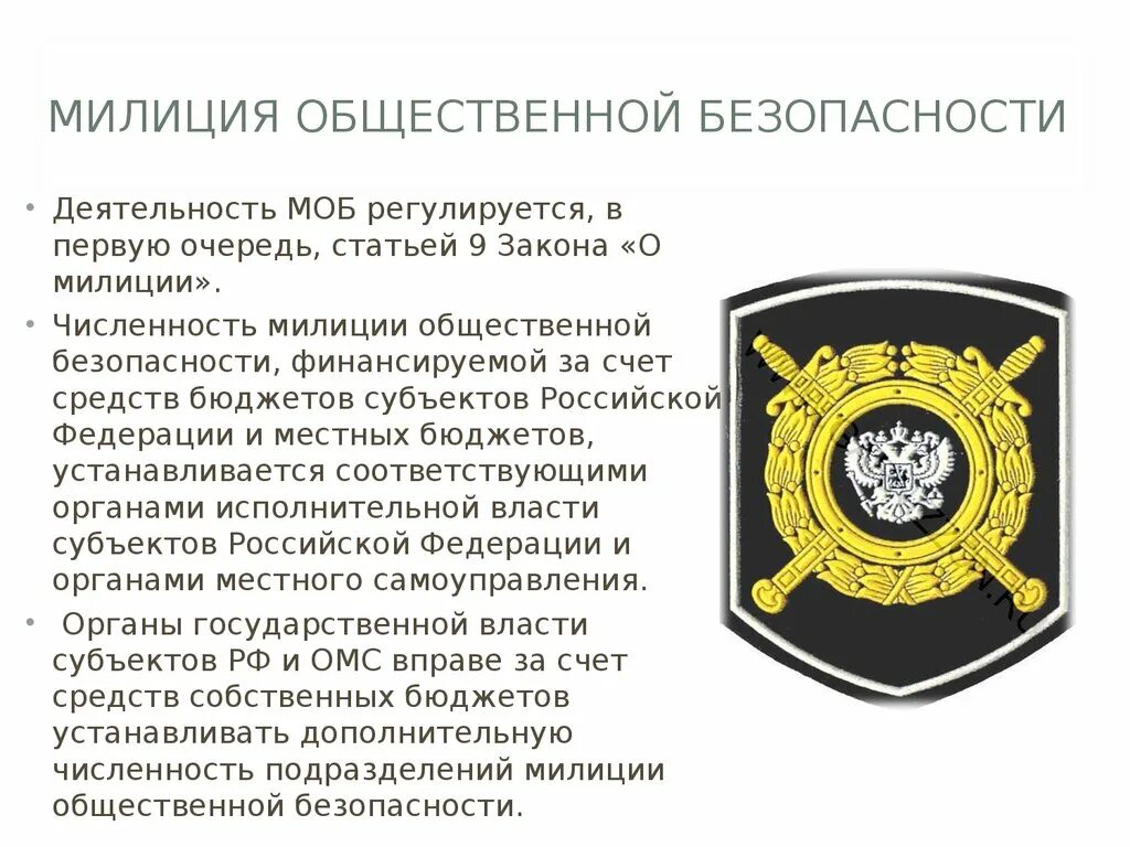 Общественная безопасность функции. Общественная безопасность функции