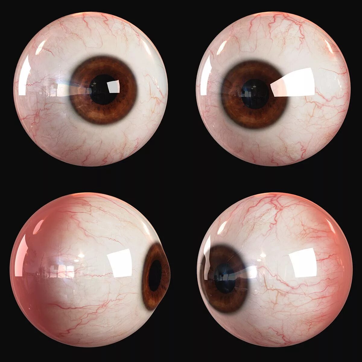 Глазное яблоко референс. Реалистичные стеклянные глаза. Расширенное настоящее