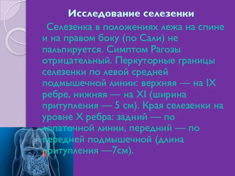 Исследование селезенки. Симптом Рагозы селезенка. Селезенка в положении по Сали. Положительный симптом Рогозы.