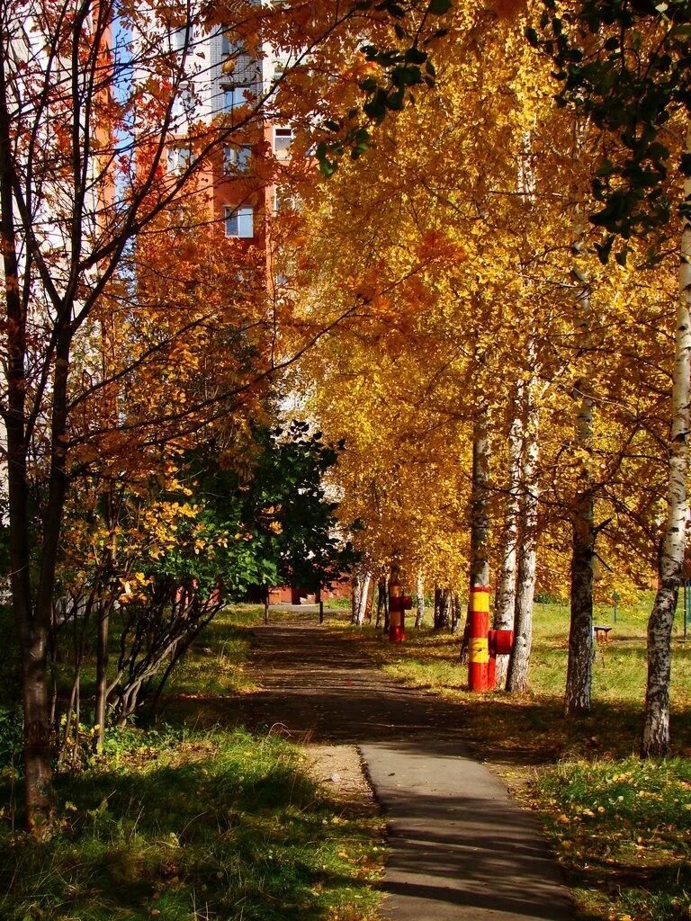 Кстово город парк. Парк Юбилейный Кстово. Кстово Нижегородская область парк Юбилейный Волга. Парковая 11 Кстово.