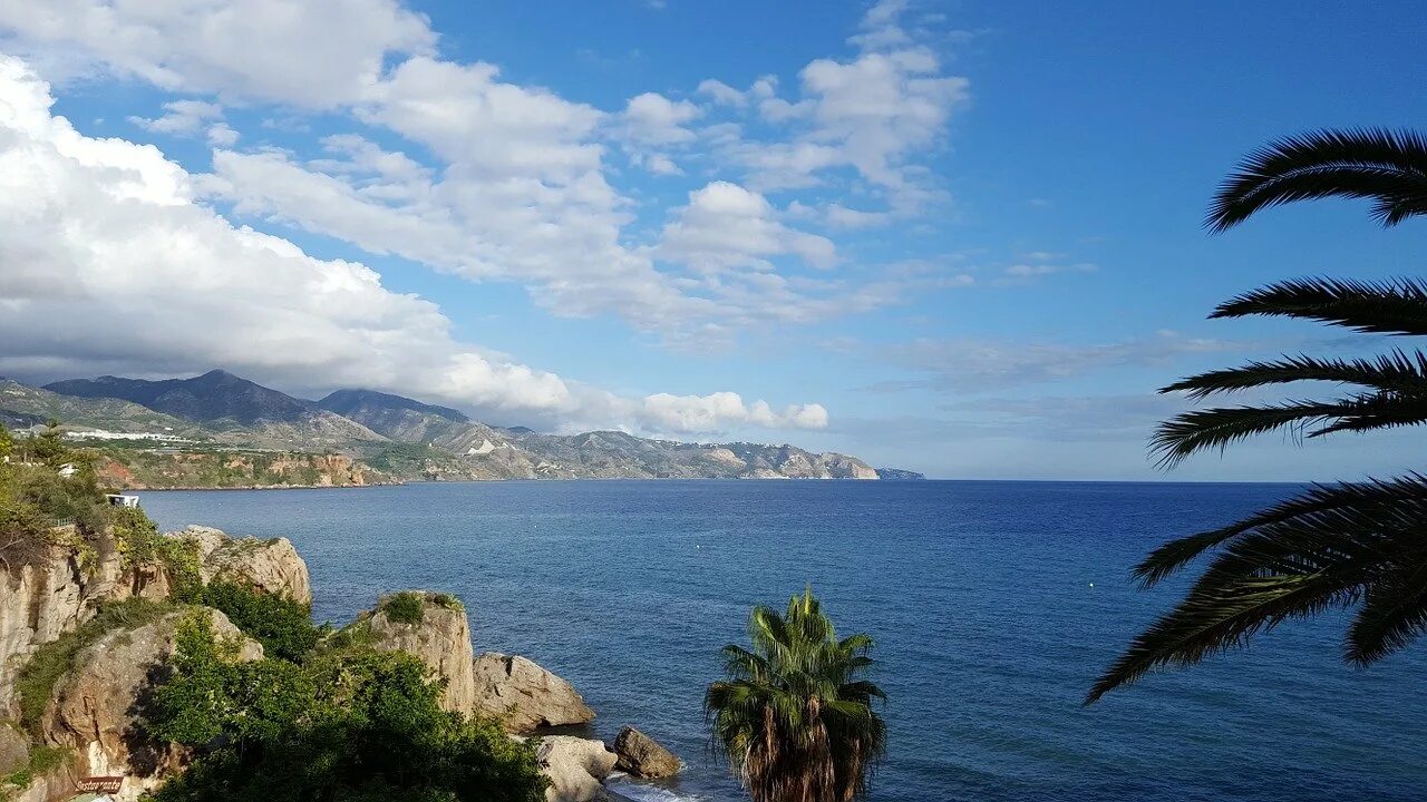 Субтропики на побережье средиземного моря. Черноморское побережье кавказа и южный берег крыма. Субтропики черноморского побережья кавказа климат. Грузия батуми природа. Субтропики черного моря.