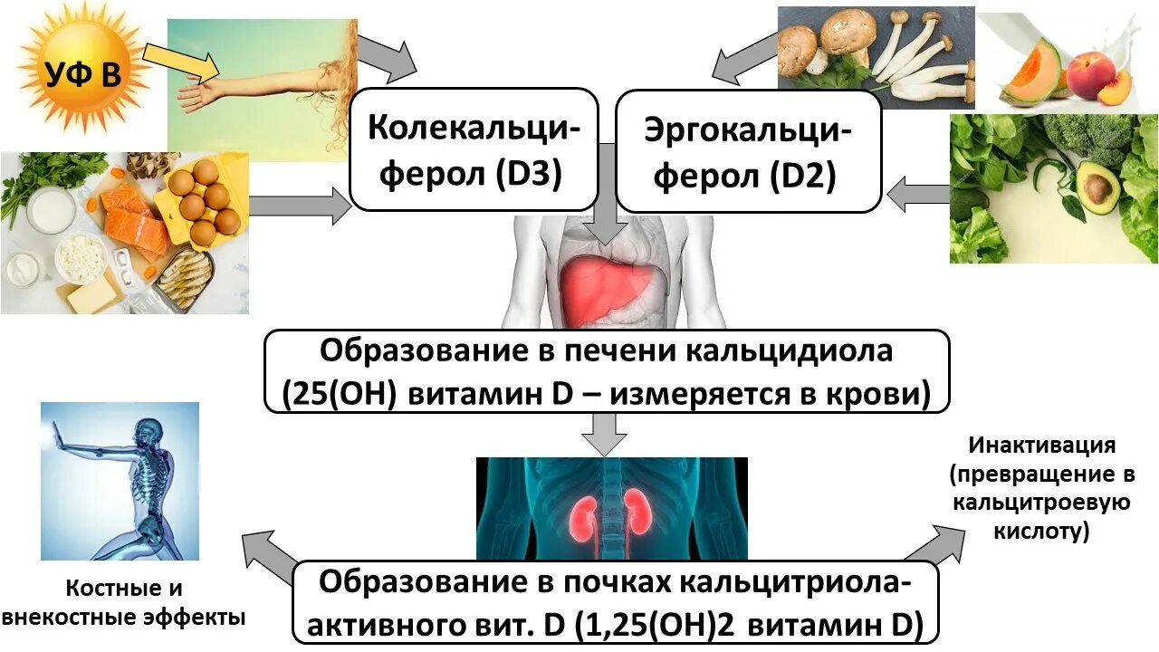 25 он д3. Дефицит витамина д. Дефицит витамина d. Дефицит витамина д показатели. Недостаточность витамина д.