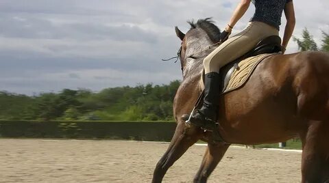 Sarah riding