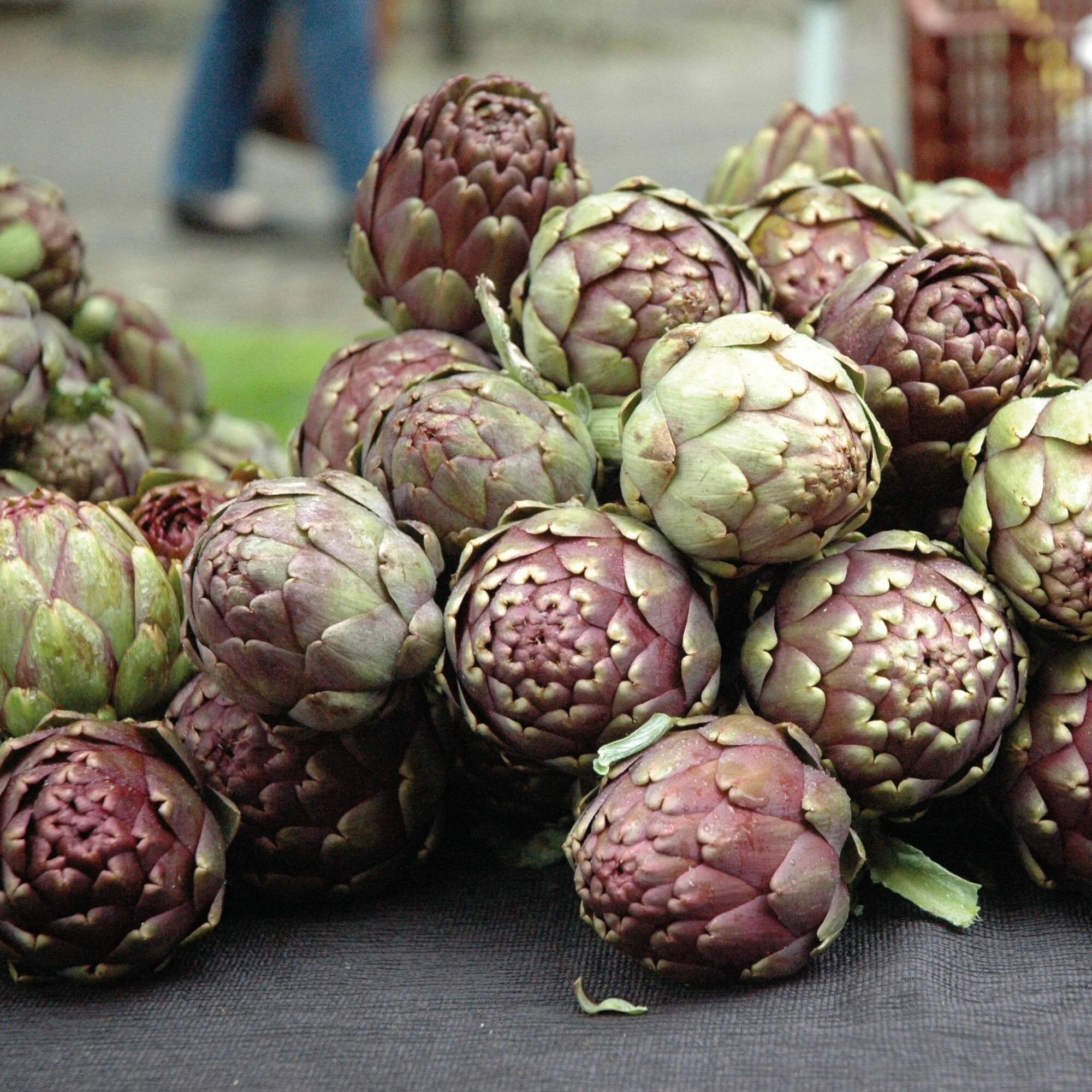 Артишок цветет. Маленькие артишоки. Артишок вики. Маленькие артишоки. Маленькие артишоки.