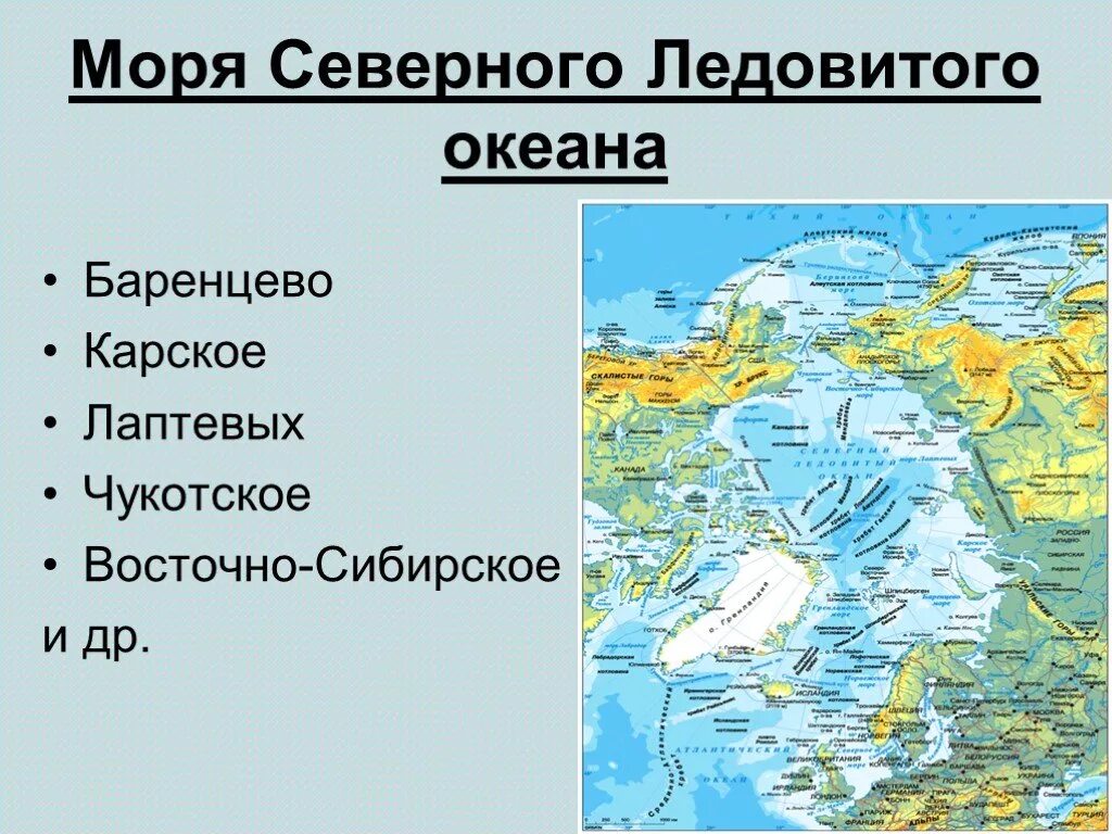 Моря атлантического океана перечислить. Моря Северного Ледовитого океана. Моря Северного Ледовитого океана список. Моря Северного Ледовитого моря. Крупные моря Северного Ледовитого океана.