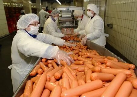 Колбасный цех начало