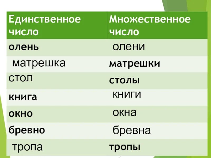 Бревно множественное число. Пшено число единственное или множественное. Пшено во множественном числе. Множественное число слова год. В каком числе слово дадут