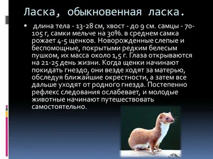 Забота ласка и опека 4 буквы