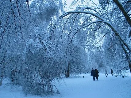Декабрь 2010 года