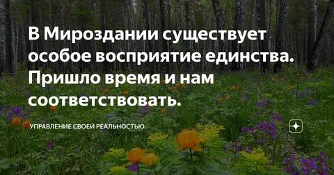 Существует вселенная существует человек объясняющий
