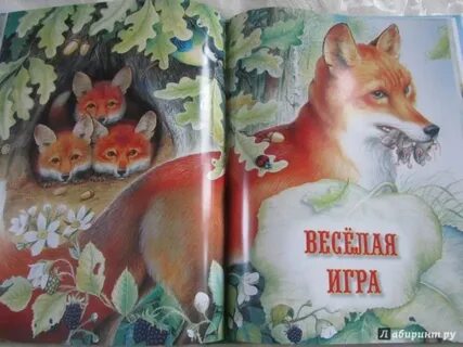 Бианки пришвин