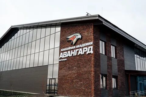 Платинум арена воронеж