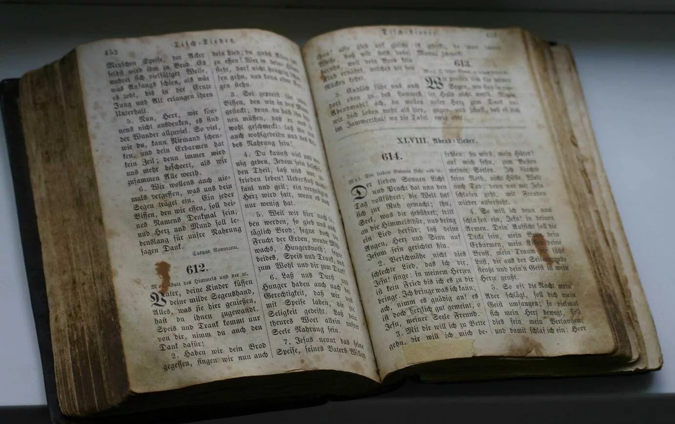 шурльный предметы на немецком. немецкие книги. читать книги на немецком. старинные немецкие книги. литература на немецком языке перевод.