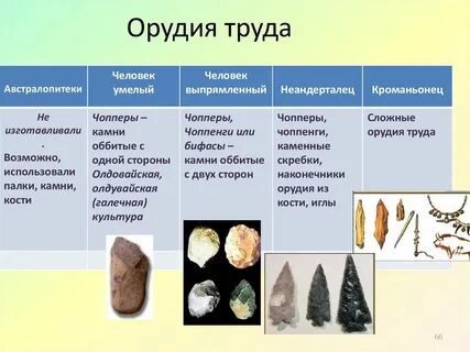 Какие орудия труда использует врач