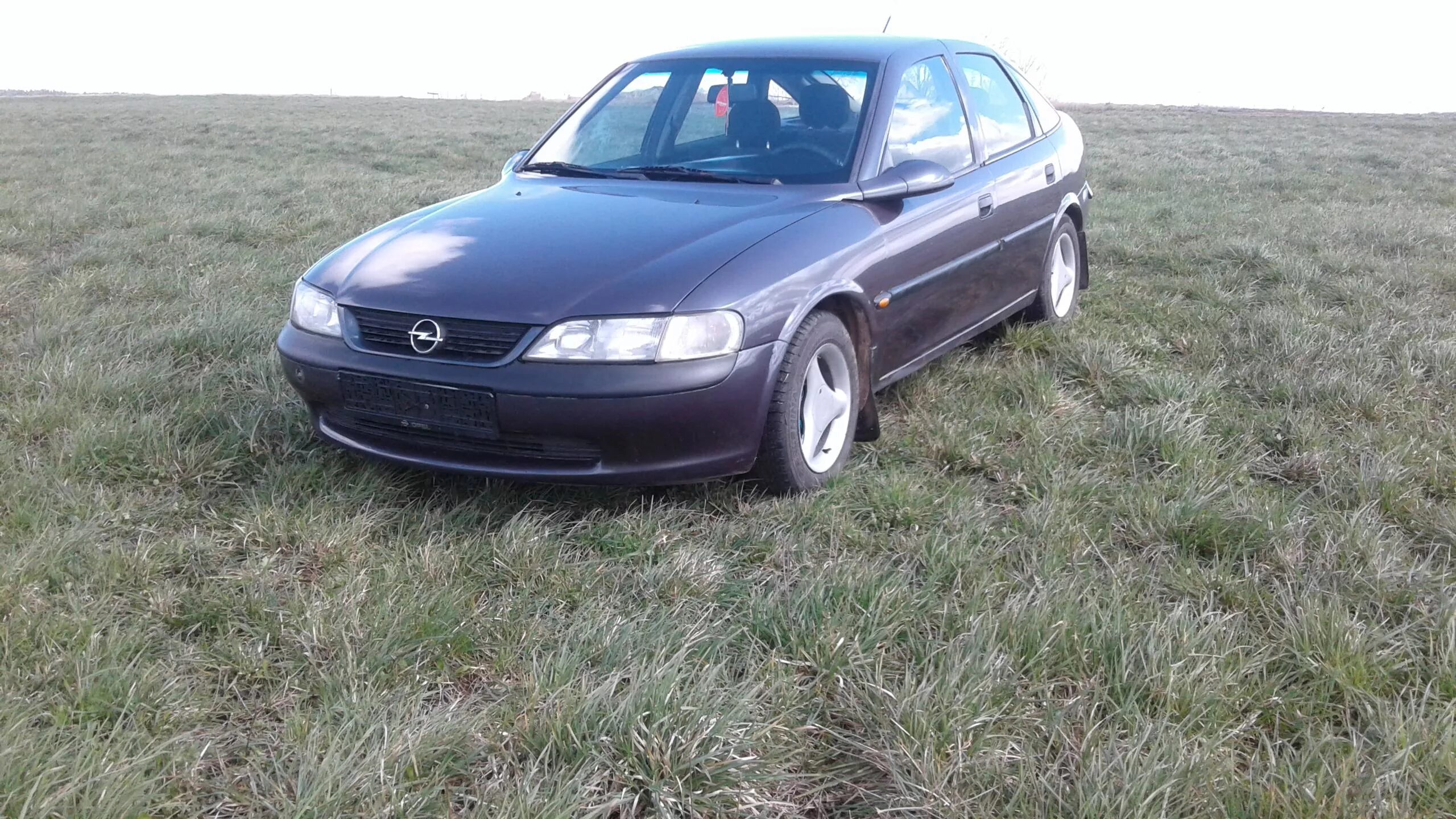 Опель вектра б беларусь. Opel Vectra b 1997 фиолетовый. Опель Вектра 1997 года. Opel Vectra фиолетовая. Опель Вектра а фиолетовый.