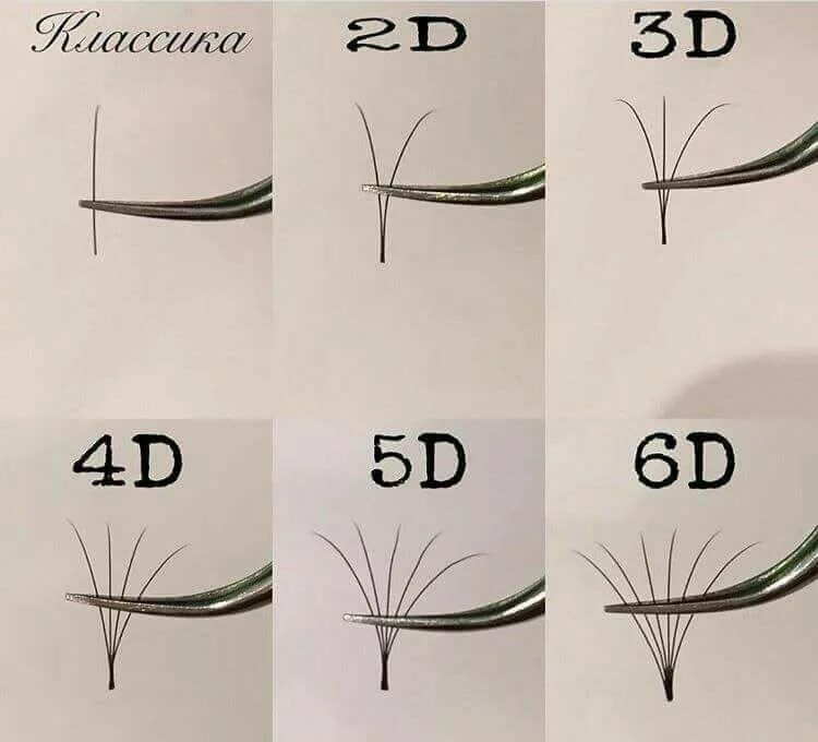 Схемы Пучков наращивание ресниц. Объемы наращивания ресниц 1,5 д 2д 3д схемы. 1.5 Объем наращивание ресниц схема. Объем 1.5 д ресницы схема. Ресницы 2д пучки