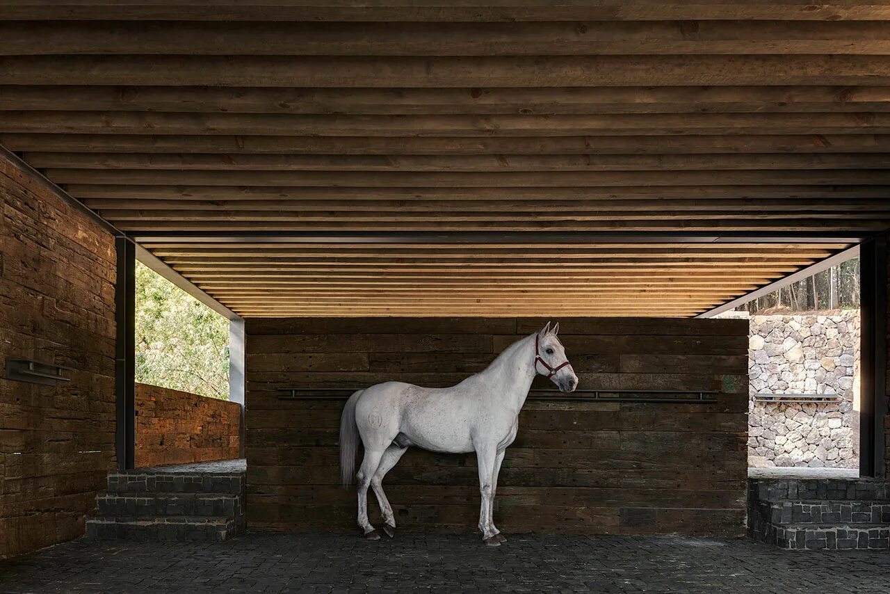 Деревенский сарай для скота. Вербукховен эжен жозеф художник. Jan van ravenswaay. Хлев декорации. Хлев для коровы.