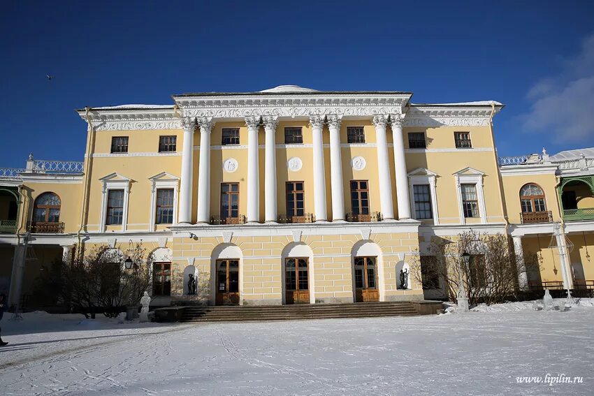 ДК В Павловске СПБ. Павловск филармония. Инвалидный дом в Павловске. Павловск зимой. Институт семьи павловск