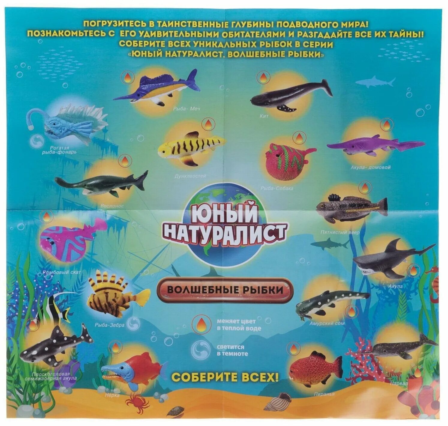 Юный натуралист волшебные рыбки. Юный натуралист ящерица. Фигурка abtoys юный натуралист рыбка волшебная. Collecta камерунский гребенчатый хамелеон 88805. Волшебная рыбка.