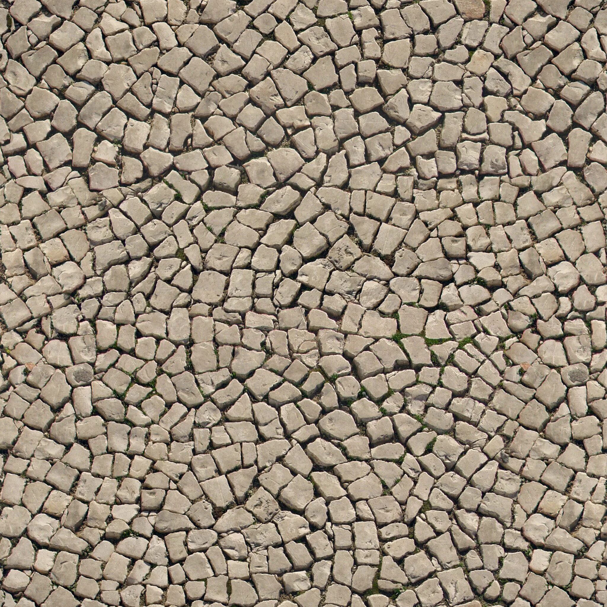 Seamless texture