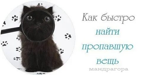 На работе пропадают вещи