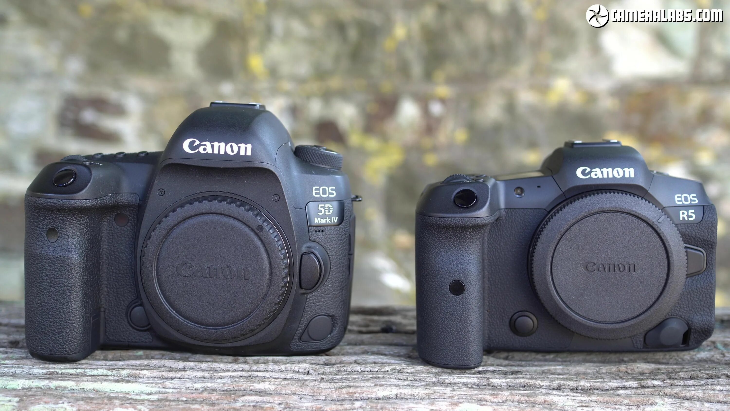 Eos r5c. Canon r5. canon eos r5 mark 2. canon eos r6. фотоаппарат canon eos r7.