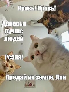 Найдите катю и наташу
