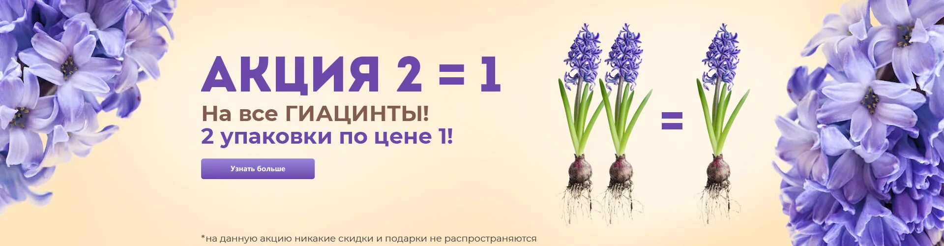 Агросемфонд каталог 2025 год. Агросемфонд каталог 2025 год