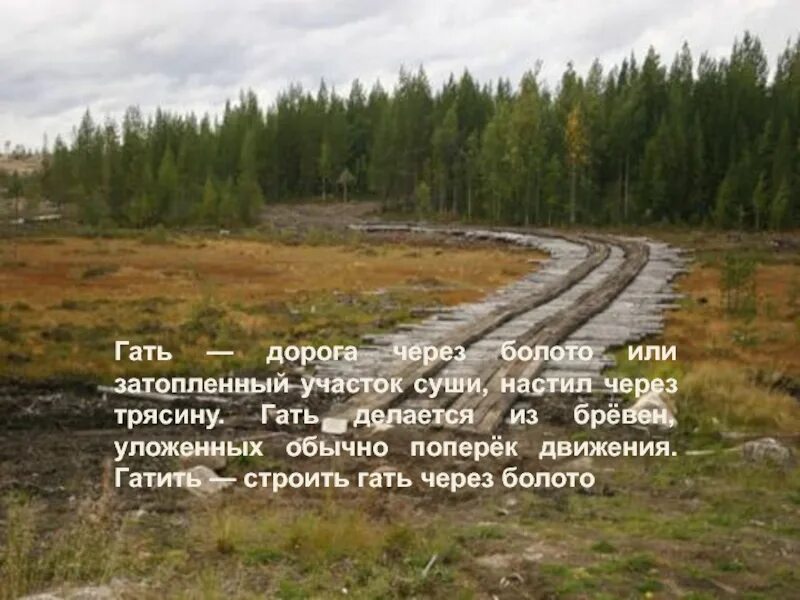 Найти слово слово участок. Гати дорога. Гать через болото. Гать дорога через болото. Гать на трясине.