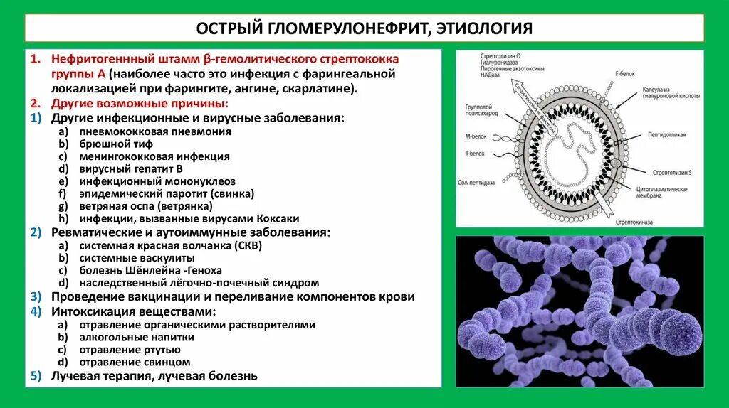 Триада гломерулонефрита