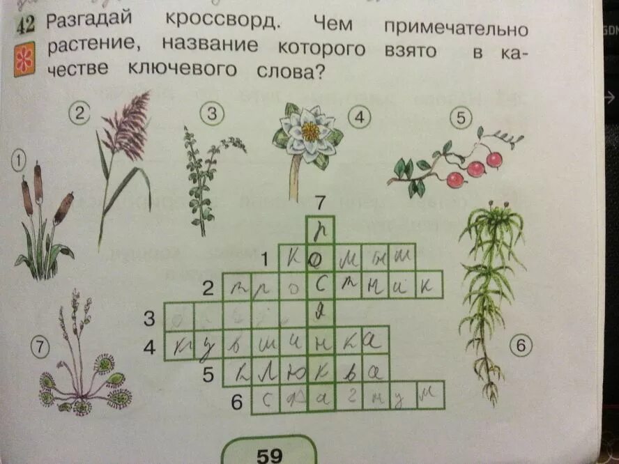 Кроссворд на тему растительные сообщества