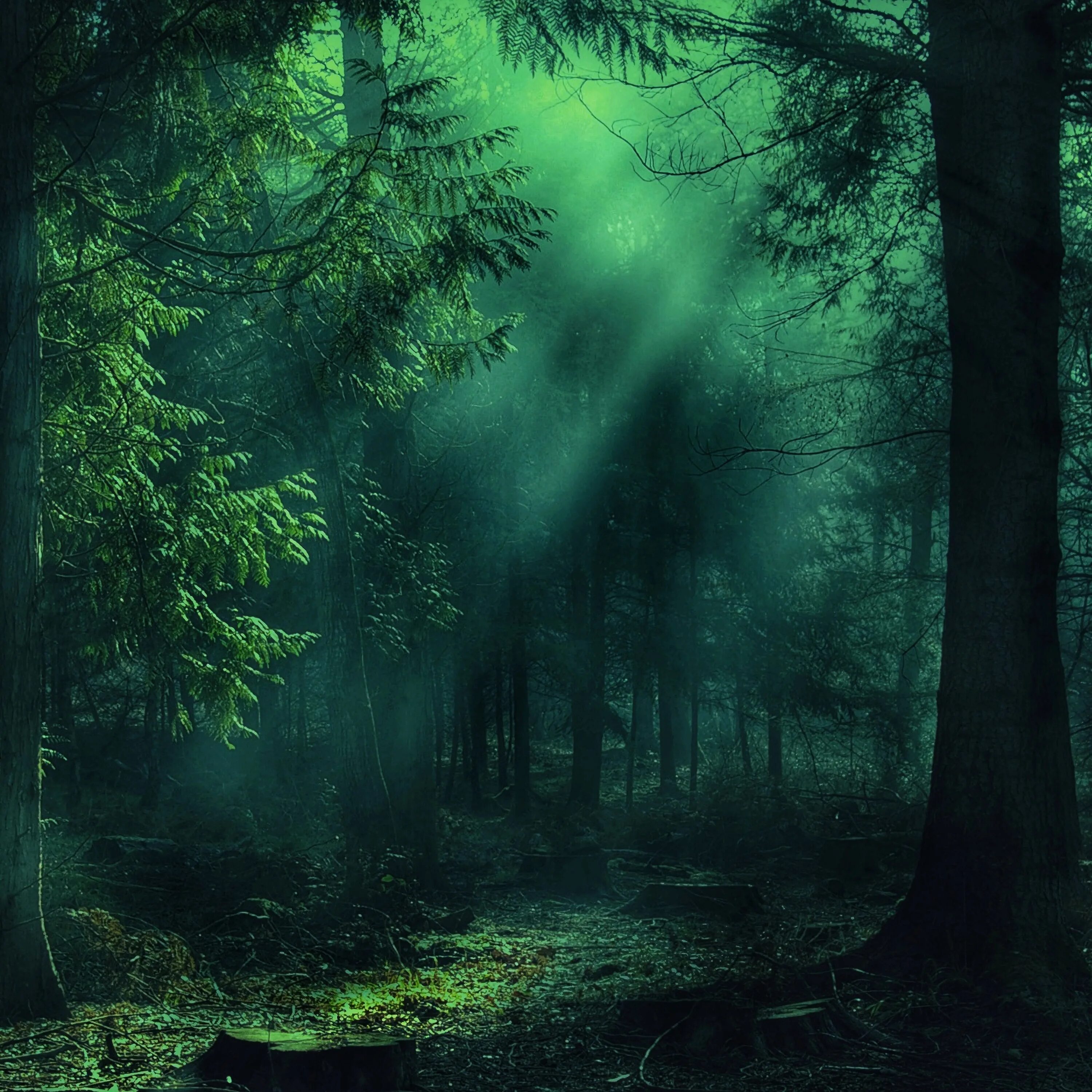 Темные картинки. Во мраке ночи. Мрак отзывы. Мрак отзывы. Готический мрак.