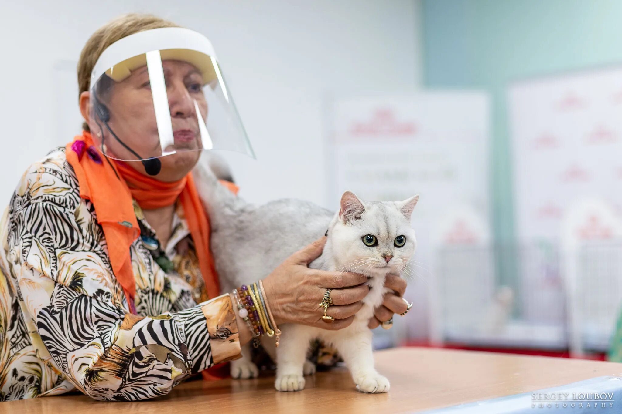 Выставка кошек екатеринбург расписание. Выставка кошек. Выставка кошек тольятти. Выставка кошек екатеринбург. Выставка кошек в москве 2023.