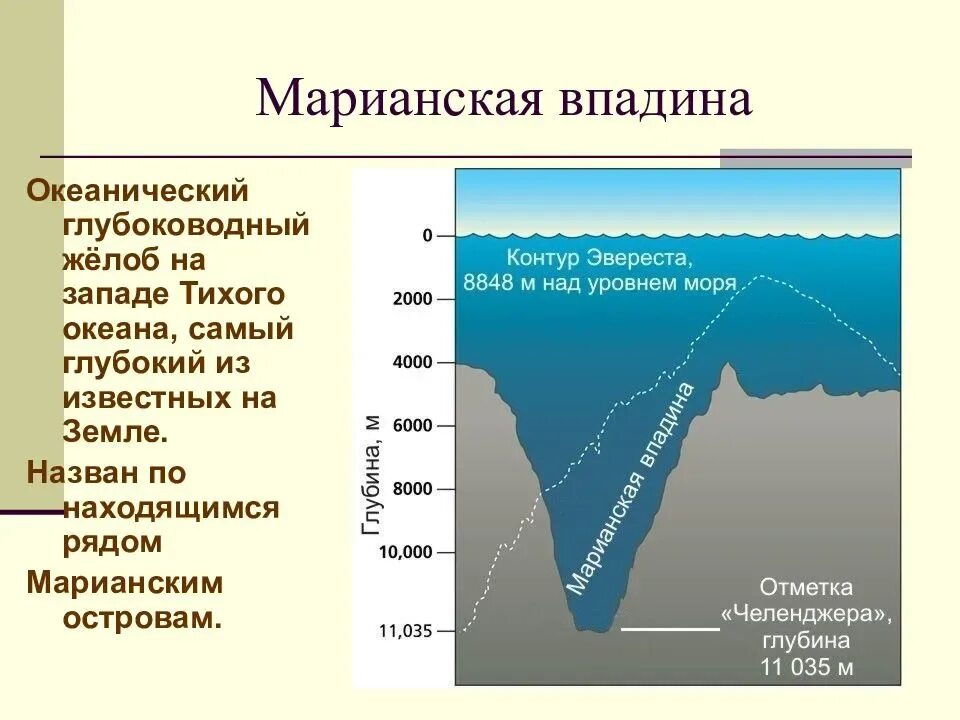 По какому морю определяют уровень моря. Океанические впадины рельеф дна. Пять глубоководных желобов Марианской впадины на карте. Марианская впадина рельеф дна. Рельеф дна возле Марианской впадины.