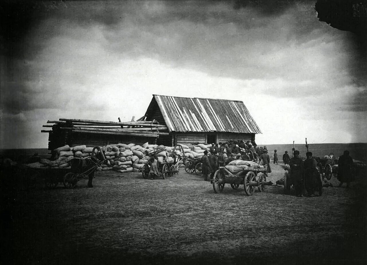 Неурожайный 1891-92 год в Нижегородской губернии Дмитриев. Нижегородская Губерния 19 век село. Неурожайный 1891—1892 год в Нижегородской губернии.