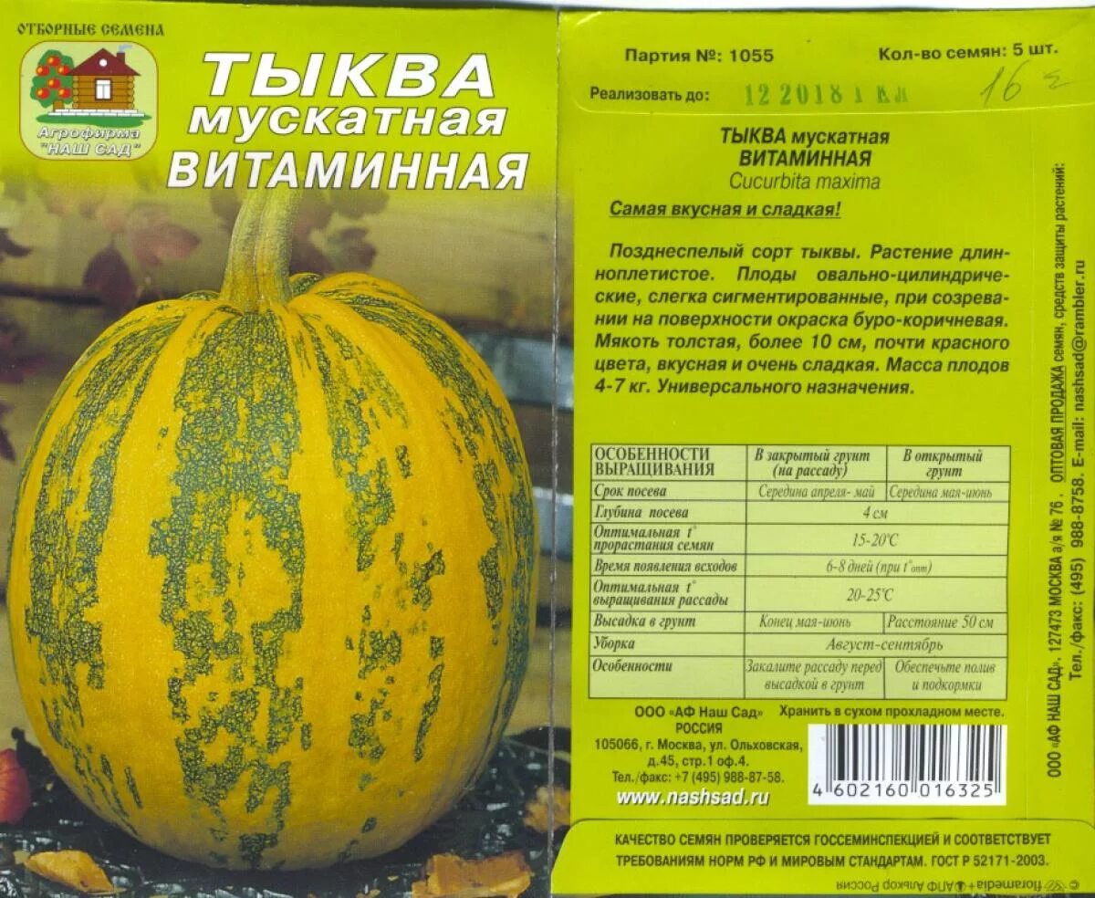 Тыква мускатная отзывы описание