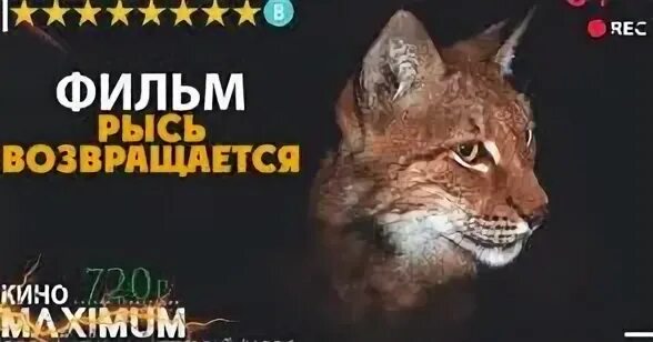 Рысь возвращается 1986. Рысь возвращается 1986