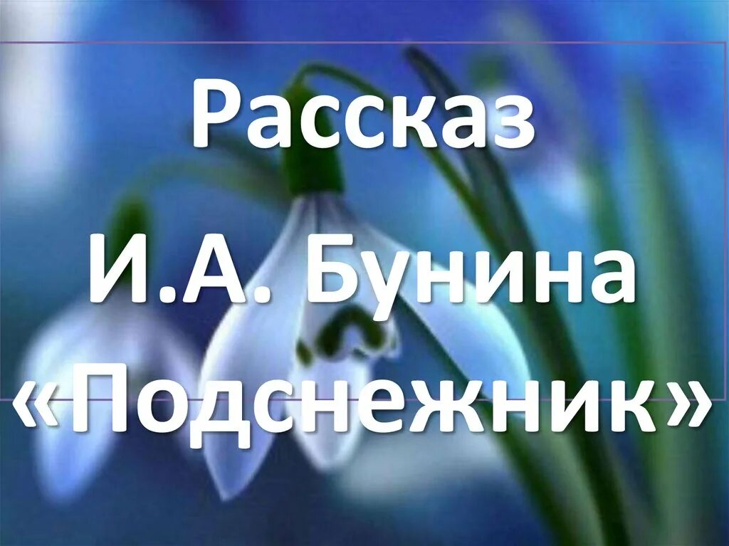 Бунин подснежник читать. Бунин подснежник читать