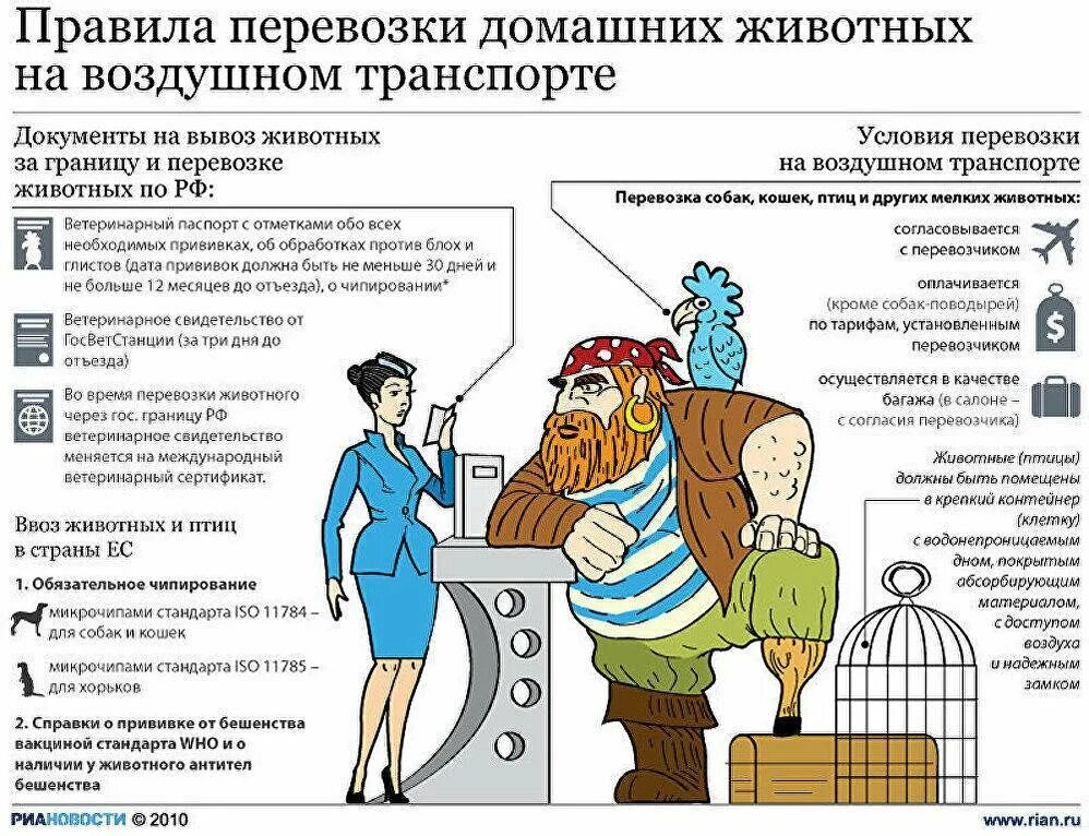 Собаку в самолет какие документы нужны. Правила перевозки животных. правила перевозки животного в самолете. правила перевозки собак. инфографика правила перевозки домашних животных в самолете.